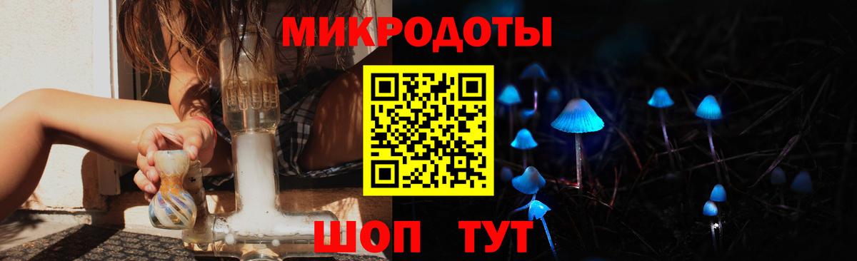 Псилоцибиновые грибы MAGIC MUSHROOMS  купить наркотики цена  Славгород  Вход с VPN 